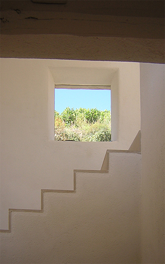 IMG 06